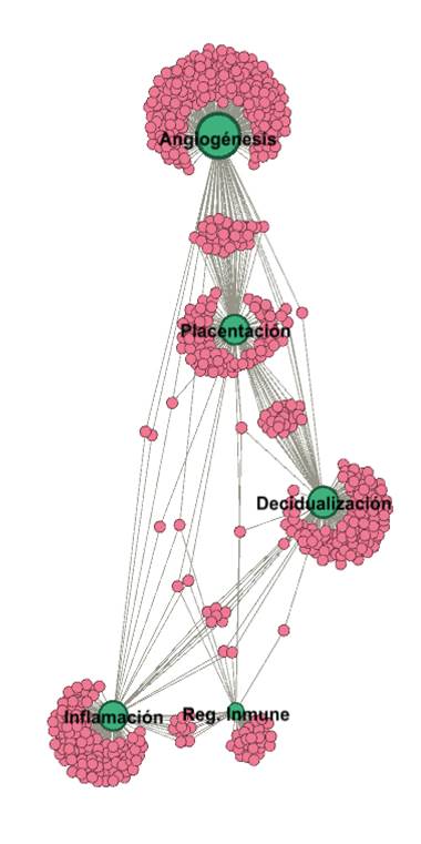 Diagrama

Descripción generada automáticamente con confianza media